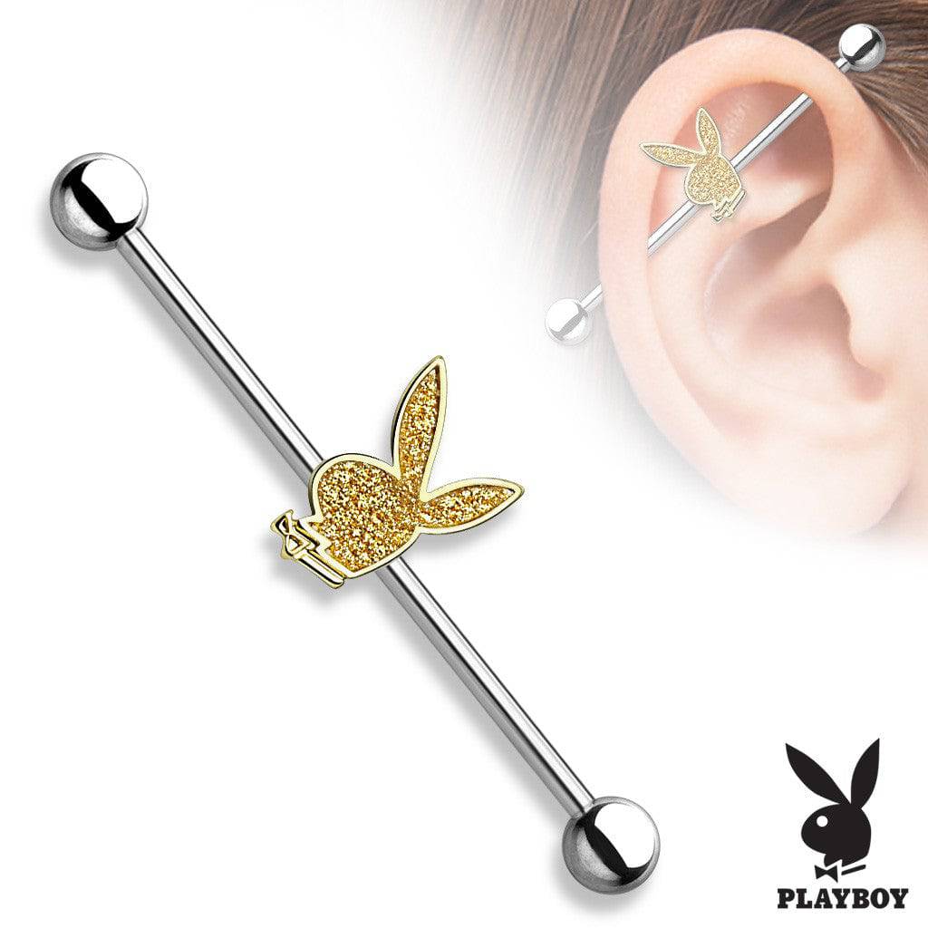 316L Surgical Sand Paper Playboy Straight Industrial Barbell